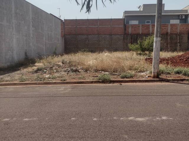 #TE00018 - Terreno para Venda em Guariba - SP - 3