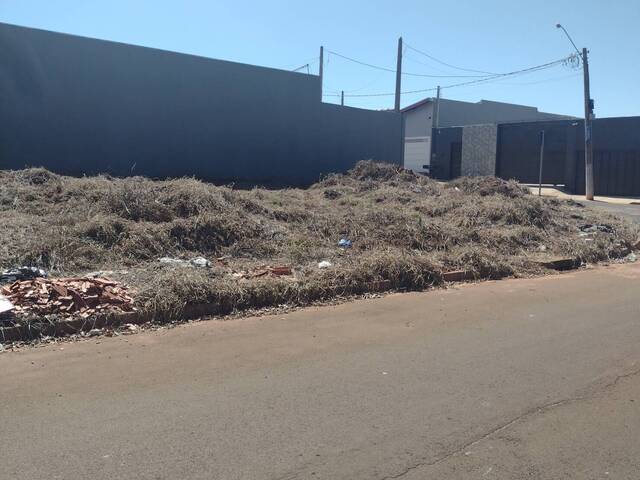 #TE00001 - Terreno para Venda em Guariba - SP - 1