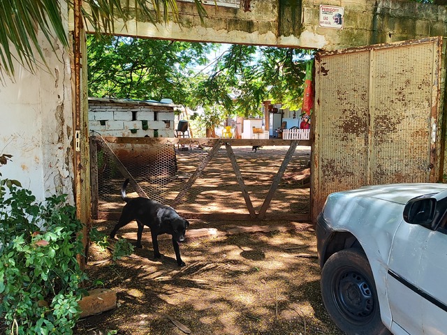 #114 - Chácara para Venda em Guariba - SP - 1