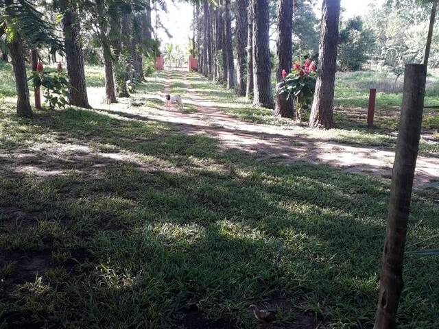 #120 - Chácara para Venda em Santa Cruz da Esperança - SP - 2