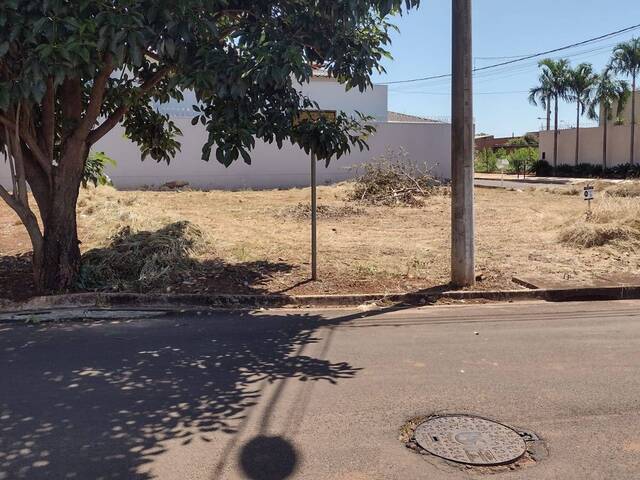 #122 - Área para Venda em Guariba - SP - 3