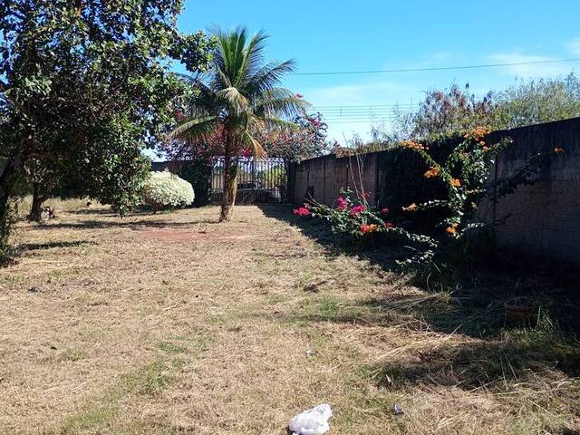 #137 - Chácara para Venda em Guariba - SP - 3