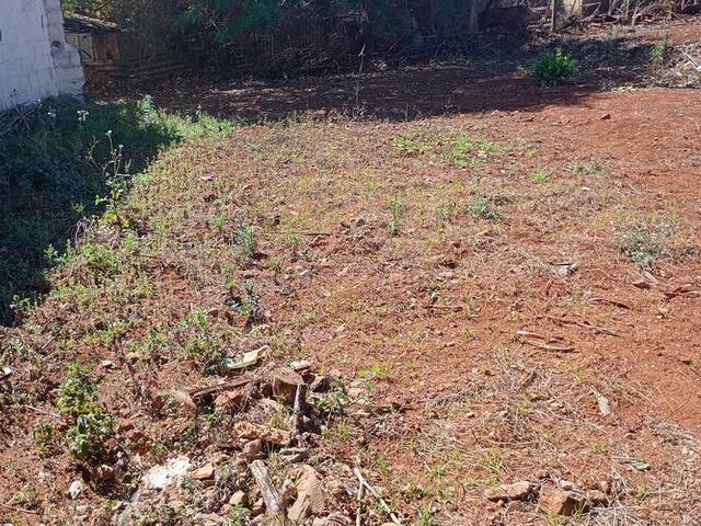 #148 - Área para Venda em Guariba - SP - 3