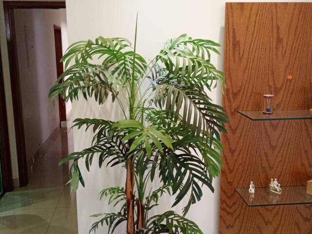 #154 - Casa para Venda em Guariba - SP - 3