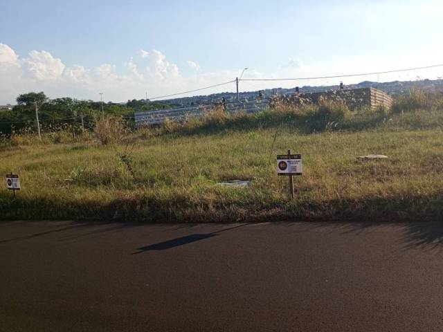 #162 - Área para Venda em Guariba - SP - 2