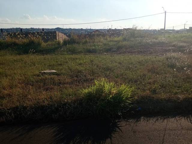 #162 - Área para Venda em Guariba - SP - 3