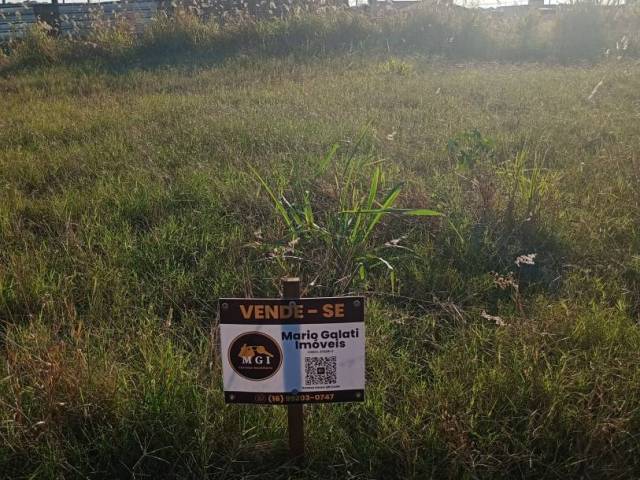 #162 - Área para Venda em Guariba - SP - 1