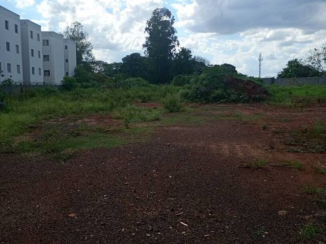 #167 - Área para Venda em Ribeirão Preto - SP - 1