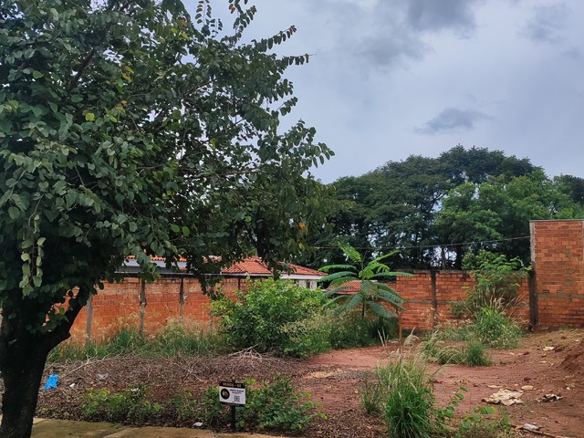 #168 - Área para Venda em Guariba - SP - 3