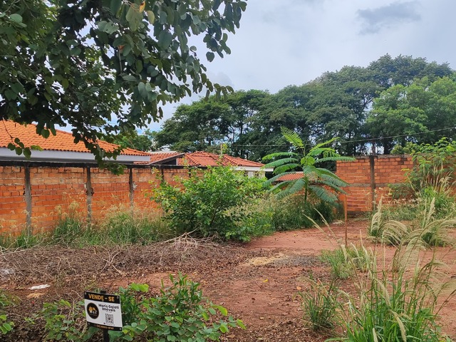 #168 - Área para Venda em Guariba - SP - 2