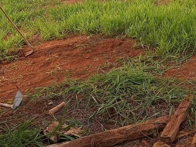 #TE00012 - Terreno para Venda em Guariba - SP - 1