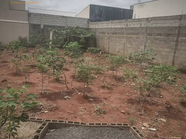 #TE00006 - Terreno para Venda em Guariba - SP - 2