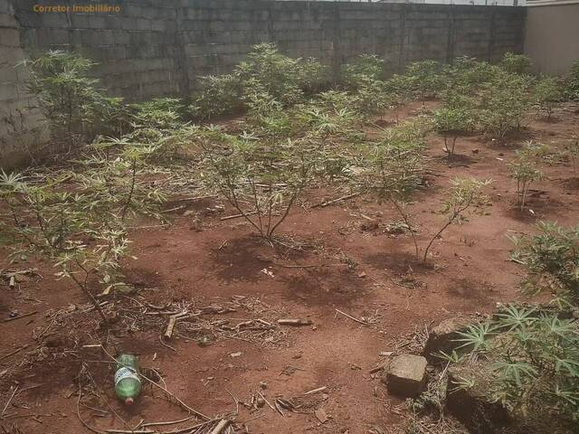 #TE00006 - Terreno para Venda em Guariba - SP - 3