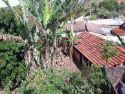 Casa para Venda em Guariba - 5