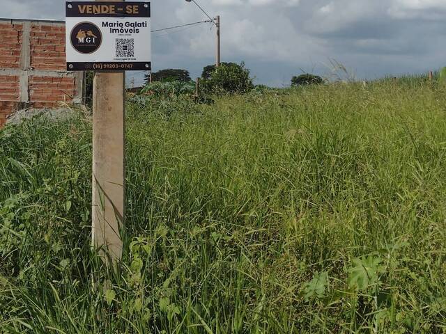#TE00010 - Terreno para Venda em Guariba - SP - 1