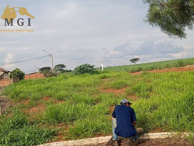 #TE00010 - Terreno para Venda em Guariba - SP - 2