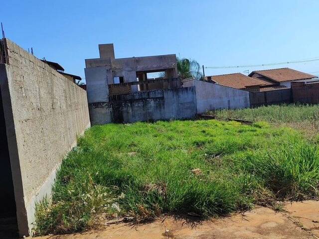 #TE00011 - Terreno para Venda em Guariba - SP - 3