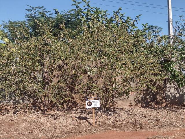 #CH00006 - Chácara para Venda em Guariba - SP - 2