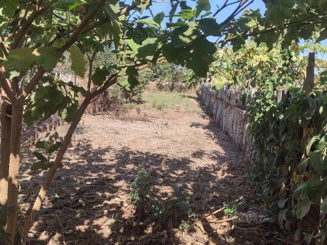 #CH00006 - Chácara para Venda em Guariba - SP - 3
