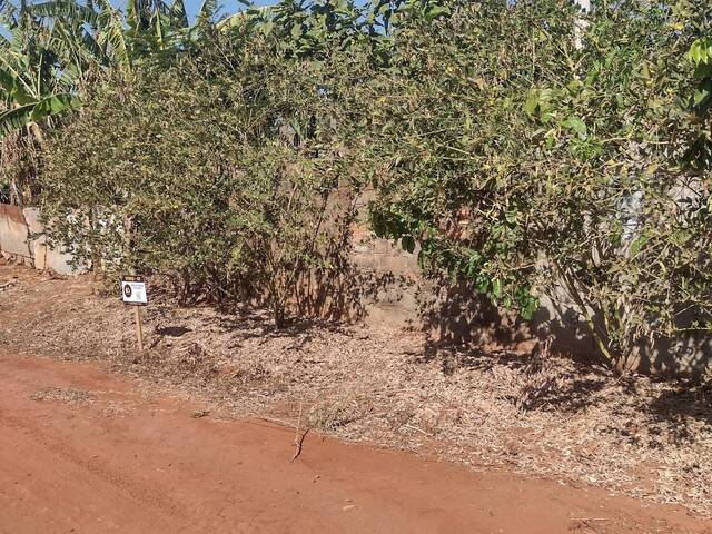 Chácara para Venda em Guariba - 5